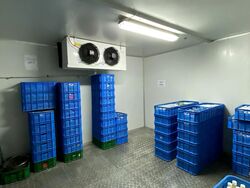 Jurong Food Hub (D22), Factory #565827481